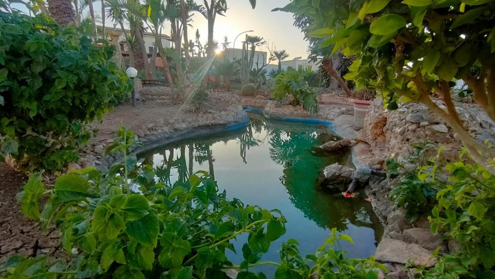 Appartement Stella Del Mare San Vito Lo Capo Extérieur photo